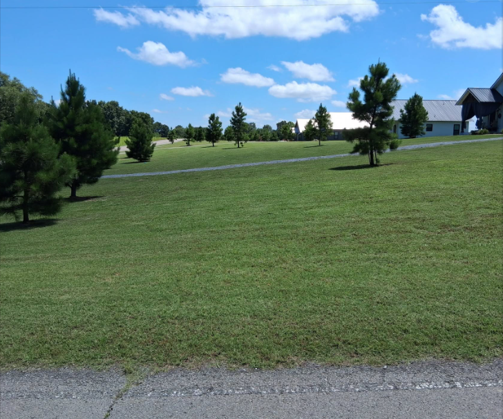 Commercial property with neatly maintained lawn and shrub beds