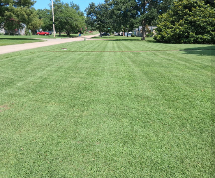 Wide front lawn mowed in even stripes on a McAlester, OK street