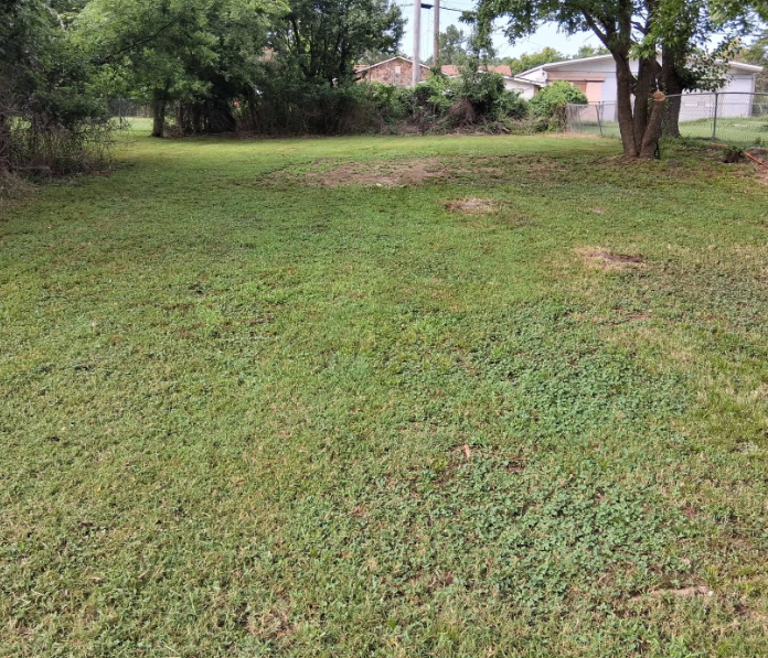 Shaded back lot mowed evenly along the fence line