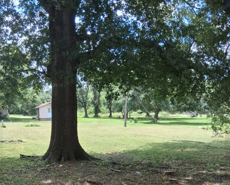 Large shaded property mowed under mature oak trees
