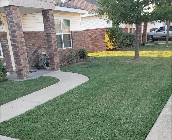 Freshly mowed front lawn edged along a curved sidewalk at a brick house