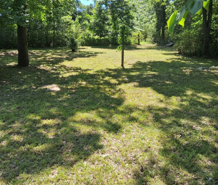 Shaded wooded lot mowed evenly between mature trees
