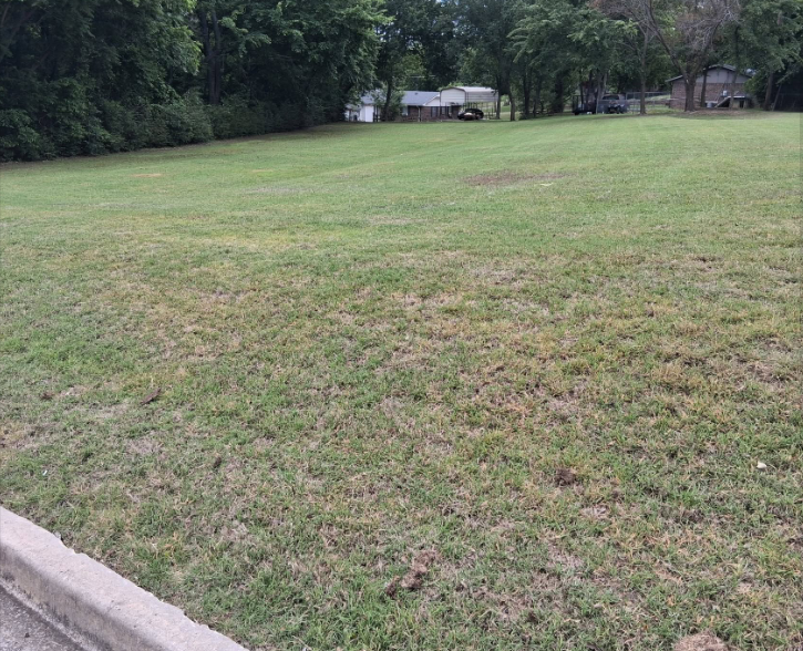 Large open lot mowed evenly from the curb back to the tree line