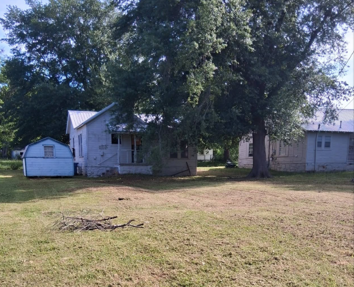 Back yard mowed around a shed and large oak with trimmed limbs stacked