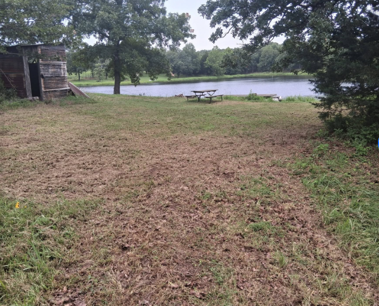 Lakeside lot cleared and mowed near a picnic table and shed