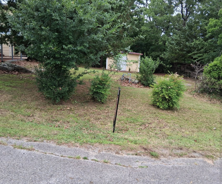 Sloped roadside yard mowed and trimmed around shrubs and shade trees