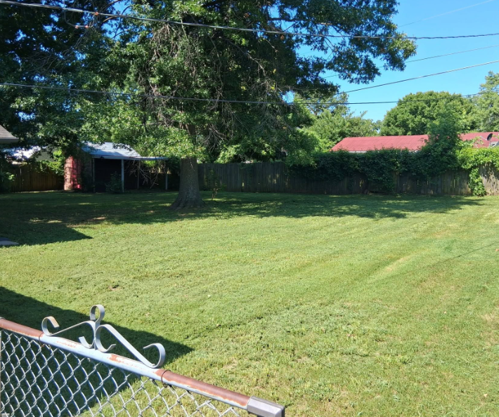 Fenced back yard mowed evenly around a shade tree