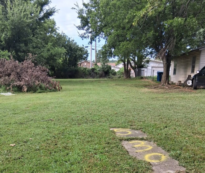 Back yard mowed with cut brush piled for removal