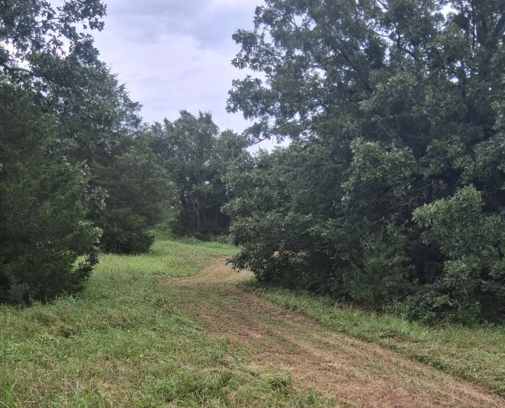Rural trail and field mowed through heavy tree cover