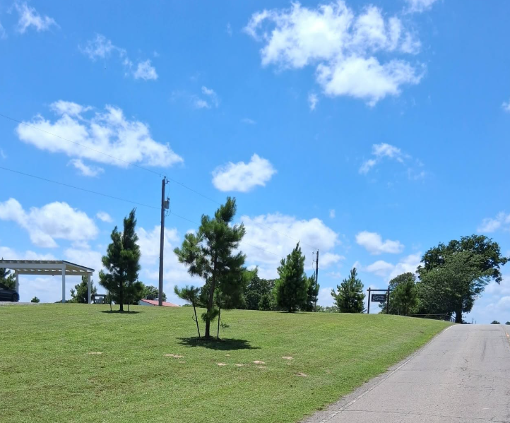 Hillside commercial lawn mowed clean along a curbed street